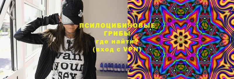 сайты даркнета как зайти  Всеволожск  Псилоцибиновые грибы Magic Shrooms 